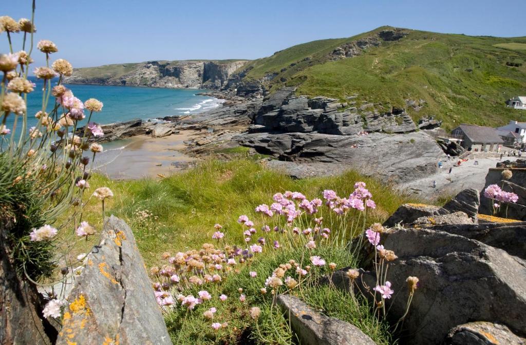 Port William Inn Tintagel Exterior photo